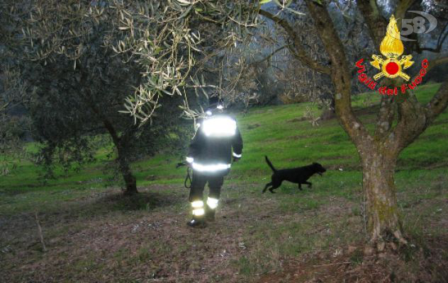 Senerchia, in corso le ricerche del 67enne scomparso venerdì