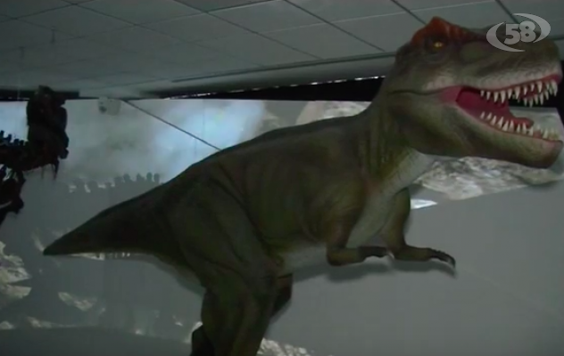 Biogem, ecco il Museo di Storia della vita e della terra