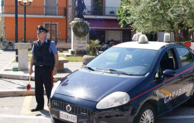 Abbattono querce e rubano legna, denunciate due persone