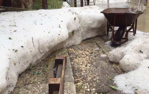 Grandinata nel Fortore, Ricci: "Estendere lo stato di calamità naturale"