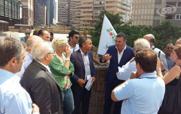 Crisi del grano, la mobilitazione di Cia e Agrinsieme//Video