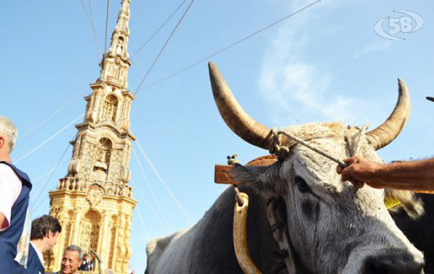 Il Carro di Mirabella (e non solo) tra i grandi eventi della Campania