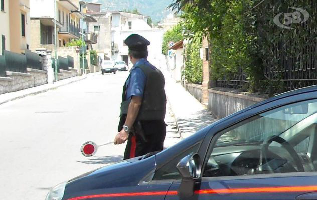 Sei denunce per tentato furto di nocciole