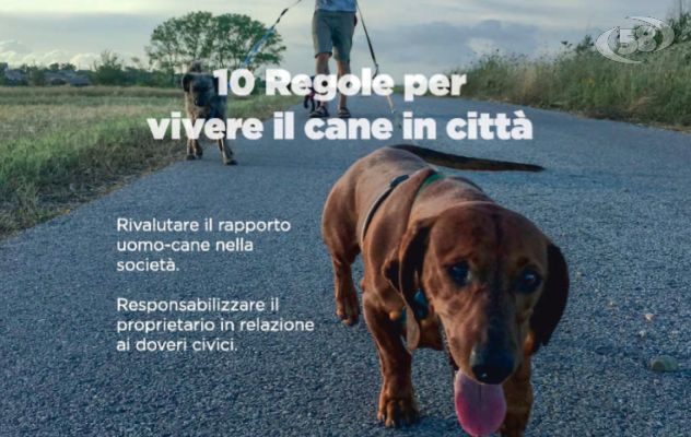 Ariano, “10 Regole per vivere il cane in Città”: l'opuscolo