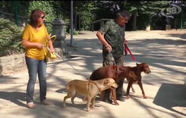 ''Dog in show'' in villa comunale ad Ariano: cani protagonisti