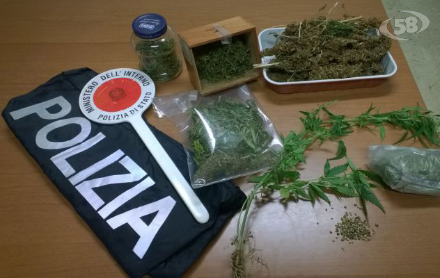 Piantagione di marijuana in casa, irpino in manette
