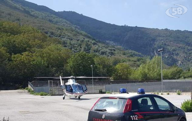 Piantagione di canapa in alta quota, scatta il sequestro