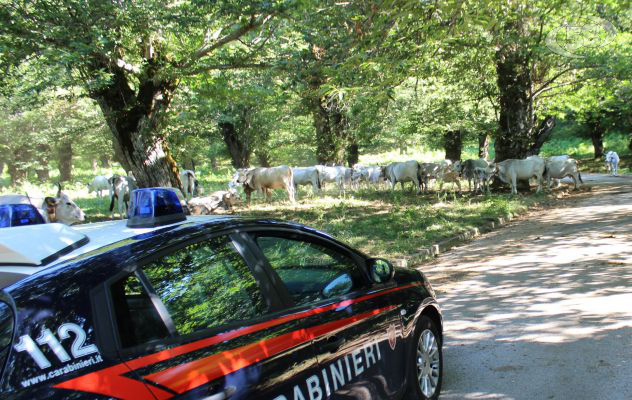 Trovano un portafoglio con 1300 euro e lo restituiscono: il gesto nobile di due operai