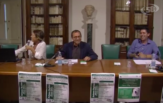 Ariano, successo per il Raduno Nazionale del Cane da Pastore Maremmano-Abruzzese