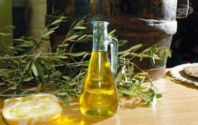 L'Irpinia e l'olio extravergine, ad Avellino l'iniziativa della Coldiretti