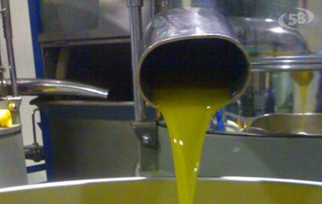 Parte dall'Irpinia il progetto 'Oleare la sicurezza'