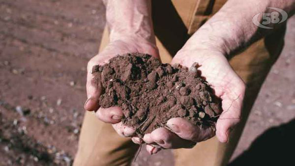 Agricoltura, Caputo: 60 milioni per le filiere strategiche. Ecco i dettagli del bando