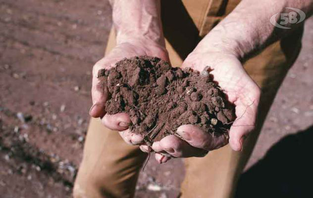 Clima e rischio in agricoltura, Caputo: "Senza il Sud, muore anche il Nord"