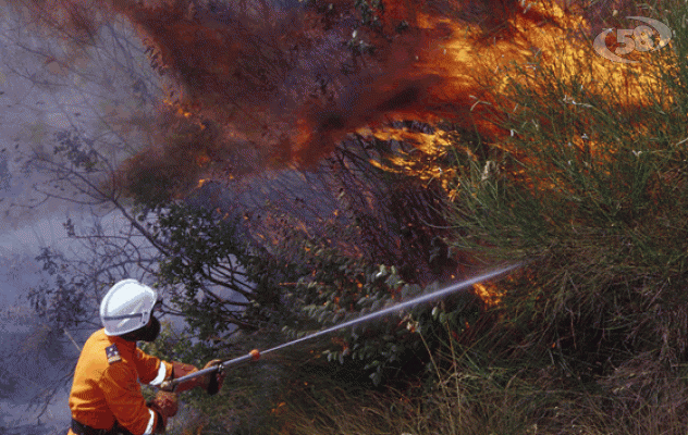 Attività antincendio boschivo, l'Ugl incontra Pirello al Centro per l'impiego