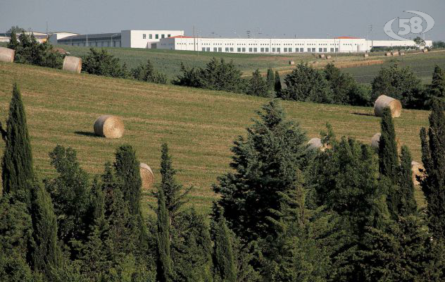 Viaggio all'interno di Biogem, eccellenza della ricerca