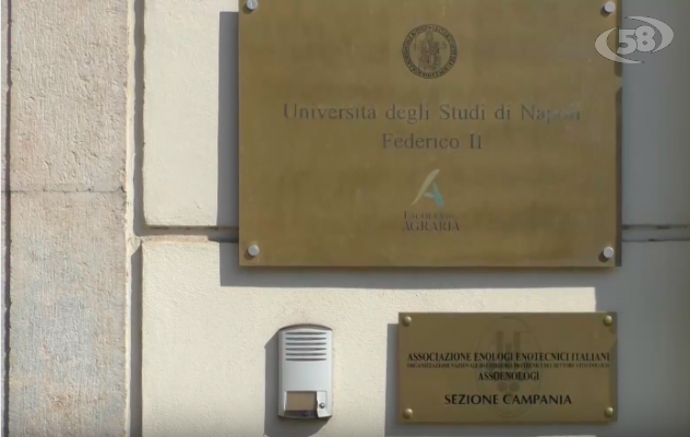 Università del Vino, si rischia il flop