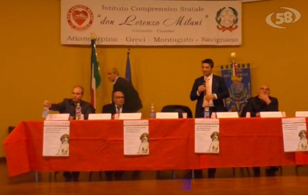 Randagismo, convegno a Savignano su come combattere il fenomeno