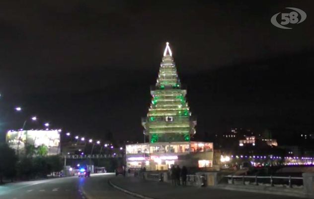 Napoli, boom di presenze per ''Nalbero''. E il Natale si accende /VIDEO