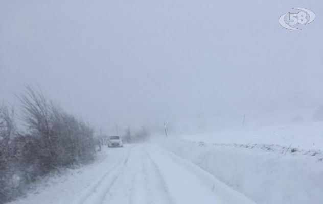 Neve, situazione critica: Coldiretti mobilita 300 trattori