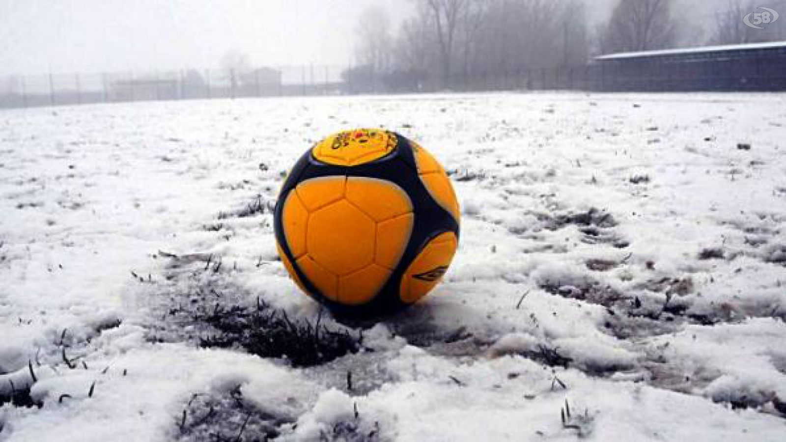 campo innevato
