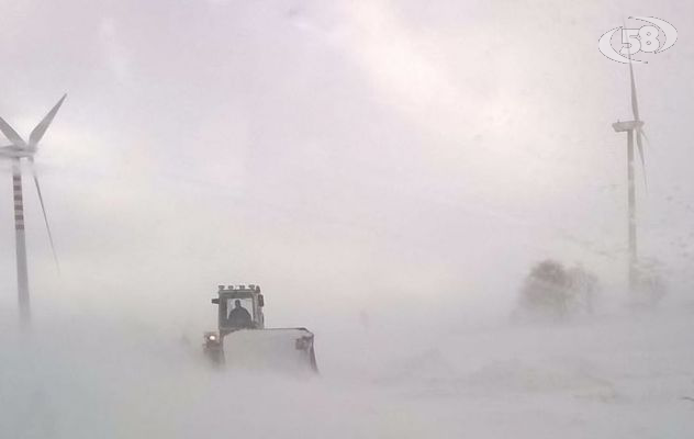 Neve, Coldiretti: ''Aziende isolate, danni difficili da calcolare''