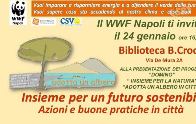 Città sostenibile: così si riducono i costi energetici. L'iniziativa del WWF