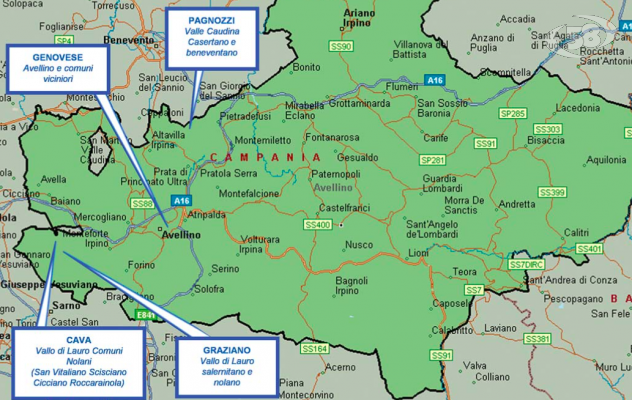 Dal Vallo Lauro all'arianese, la camorra c'è. Lo dice l'Antimafia