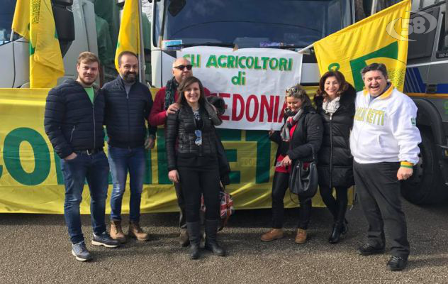 Dall'Irpinia fieno e granagli per gli allevatori terremotati