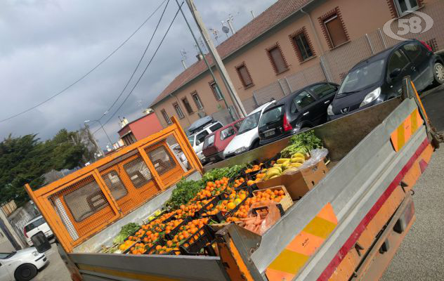 Ariano, sigilli ad un camion di prodotti ortofrutticoli: la merce devoluta in beneficenza