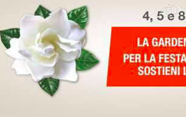 Sclerosi multipla, in Irpinia raccolta fondi per la ricerca