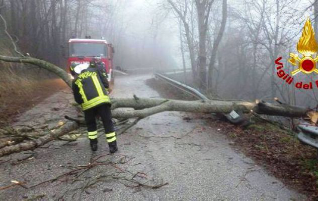 Vento e pioggia, alberi in strada e grondaie pericolanti
