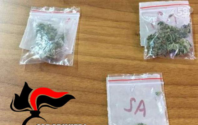 Grottaminarda, vende erba ad un ragazzino: beccato