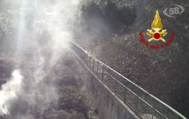 Avellino, incendio a Parco Palatucci