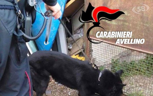 Pezzi di hashish nel ripostiglio della palestra, blitz dei Carabinieri a scuola