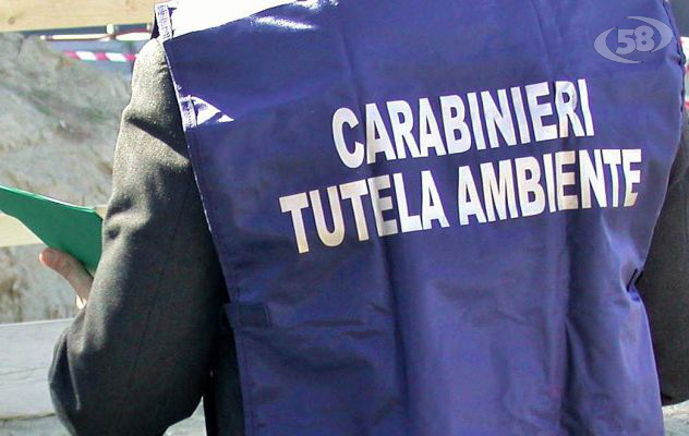 Discariche abusive e sversamenti illeciti, Carabinieri in azione