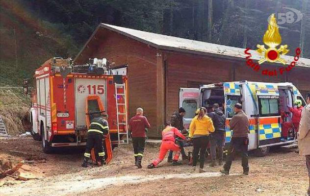 Cade l'abero e lo colpisce, trasportato in eliambulanza