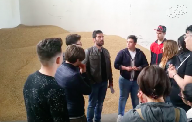 Alternanza scuola-lavoro, alunni dell'Alberghiero in visita a 4 aziende locali /VIDEO