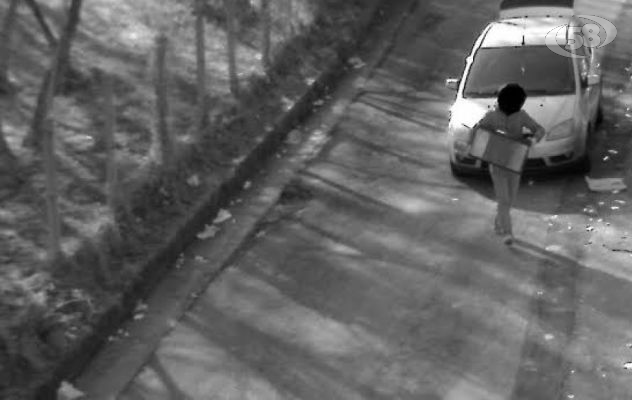 Abbandona acquario vicino alla campana del vetro: beccato dai Vigili