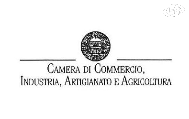 Camera di Commercio, online le informazioni su 50mila imprese della provincia