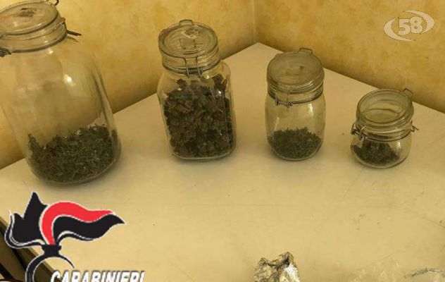 Sorpreso mentre coltivava marijuana: in manette giovane dal ''pollice verde''