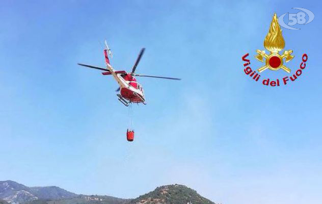 Caldo record e incendi, in campo la task force dei vigili del fuoco