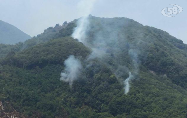 Incendi, domati i roghi di Pietrastornina, Aiello e Marzano: si combatte con il fuoco a Montoro