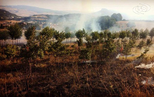 Campania di nuovo in fiamme. De Luca: disegno eversivo