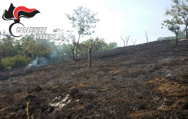 Nuovi roghi agricoli: Carabinieri denunciano 4 persone