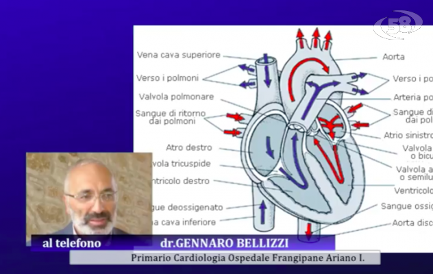 Miocardiopatia ipertrofica, nuove scoperte. Intervista al prof. Bellizzi