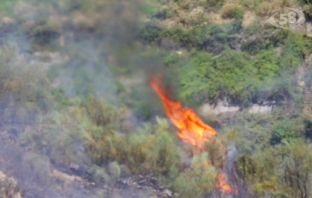 Tenta di salvare il suo uliveto dalle fiamme, muore 53enne 