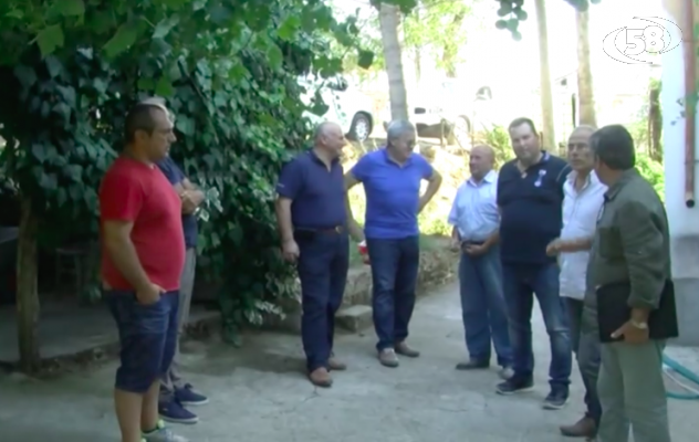 Rilanciare il vino arianese: team di esperti tra i vigneti del Tricolle