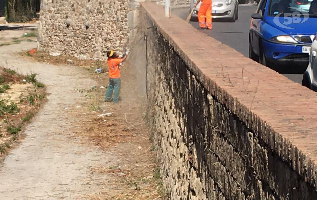 Manutenzione del verde, Feleppa: "Tutto sotto controllo"