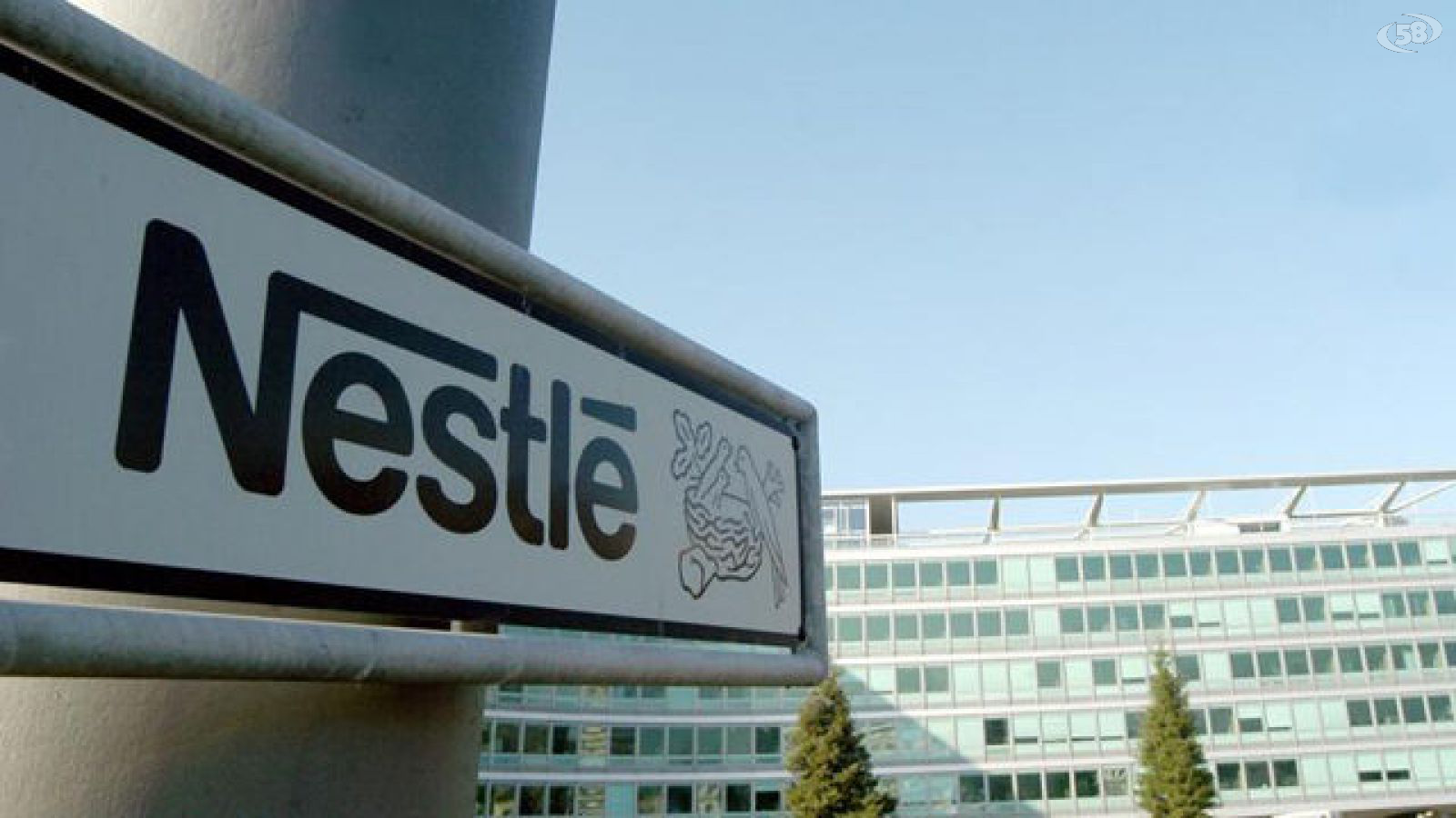 nestle