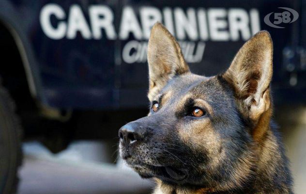 Droga a scuola, hashish occultato nei bagni